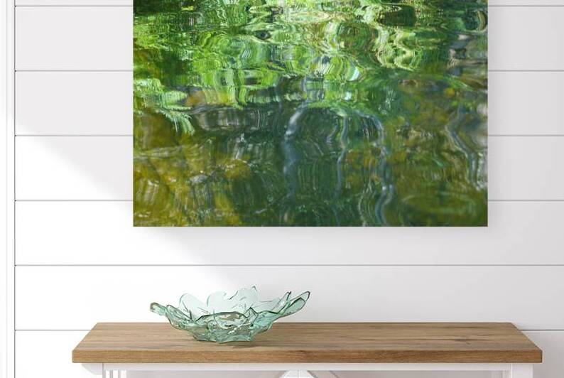vegetal transparency by Carinou Art