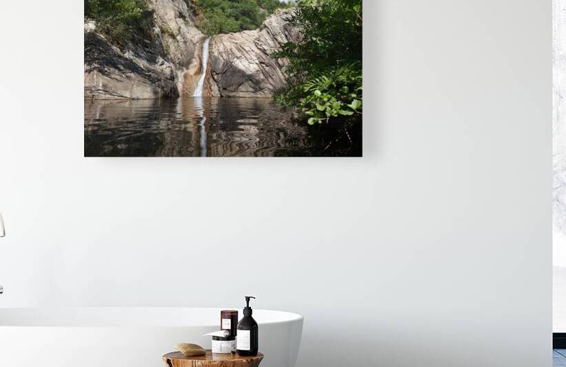 dream basin Reproduction