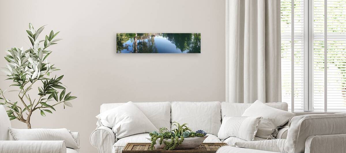 evocation of natural beauty by Carinou Art