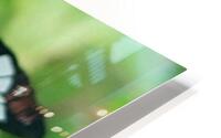 color gradient HD Metal print