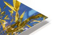 blend HD Metal print