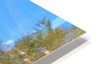 Early fall HD Metal print
