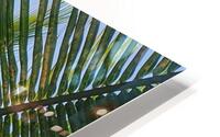straight HD Metal print