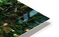 somewhere in the forest HD Metal print