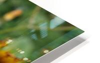 yellow dream HD Metal print