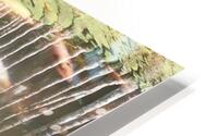 through the looking glass HD Metal print