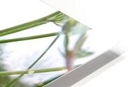 tranquility HD Metal print