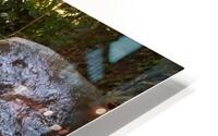 miniature waterfall HD Metal print