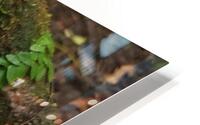 still lifes HD Metal print