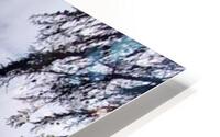 a museum HD Metal print