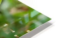 cocoon HD Metal print