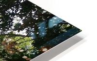 idleness HD Metal print