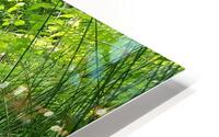 miniature amazon HD Metal print