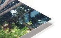 just married HD Metal print