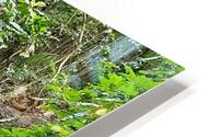 trick the eye HD Metal print