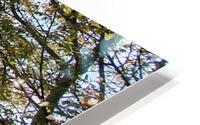 disused HD Metal print