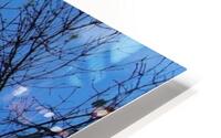 plucked HD Metal print