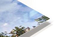 recolonize HD Metal print