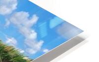 pastoral hatching HD Metal print