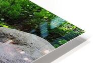 go down the river HD Metal print