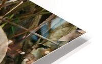 fallen but alive HD Metal print