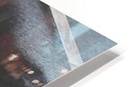 architectural prow HD Metal print