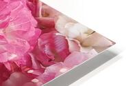 pink gradient HD Metal print