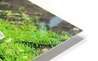iced HD Metal print