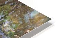 water garden HD Metal print