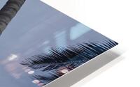 the lovers  bench HD Metal print