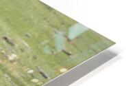 take the time to live HD Metal print