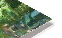 vegetal transparency HD Metal print