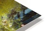 you are mine HD Metal print