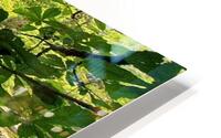 fullness HD Metal print