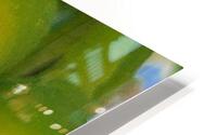 I pollinate HD Metal print