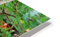 friends HD Metal print