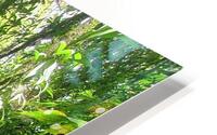 beautiful stream HD Metal print