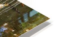 sheltered by trees HD Metal print