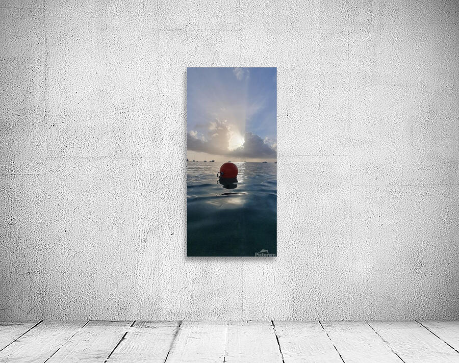 Alone at sea Wall Preview