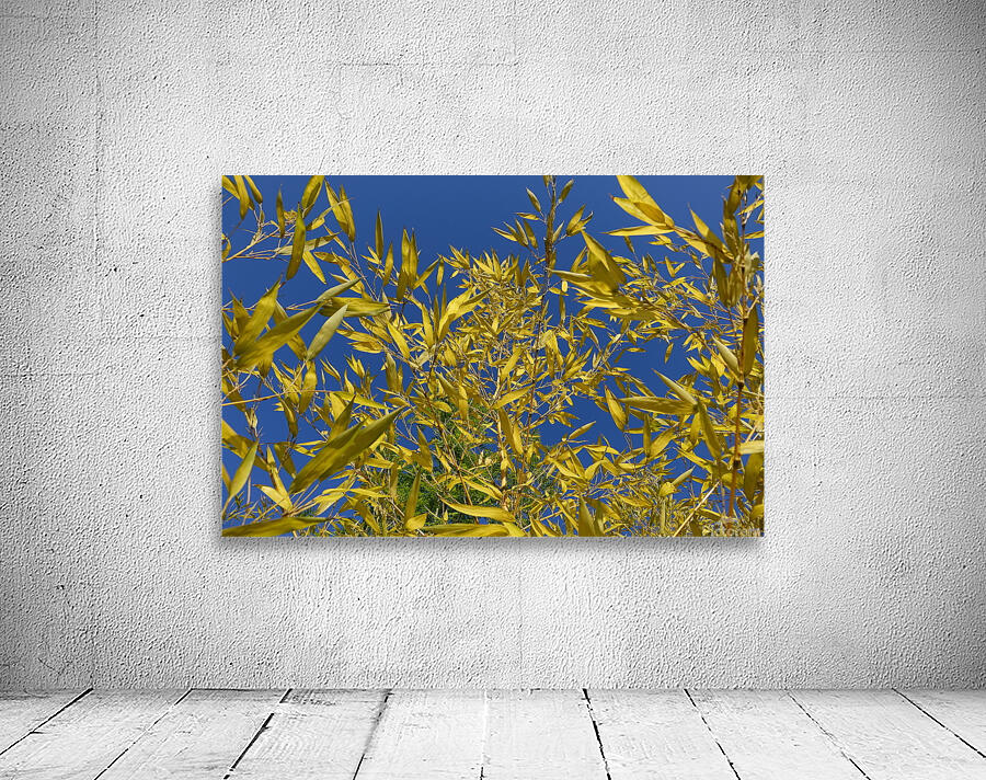 blend Wall Preview