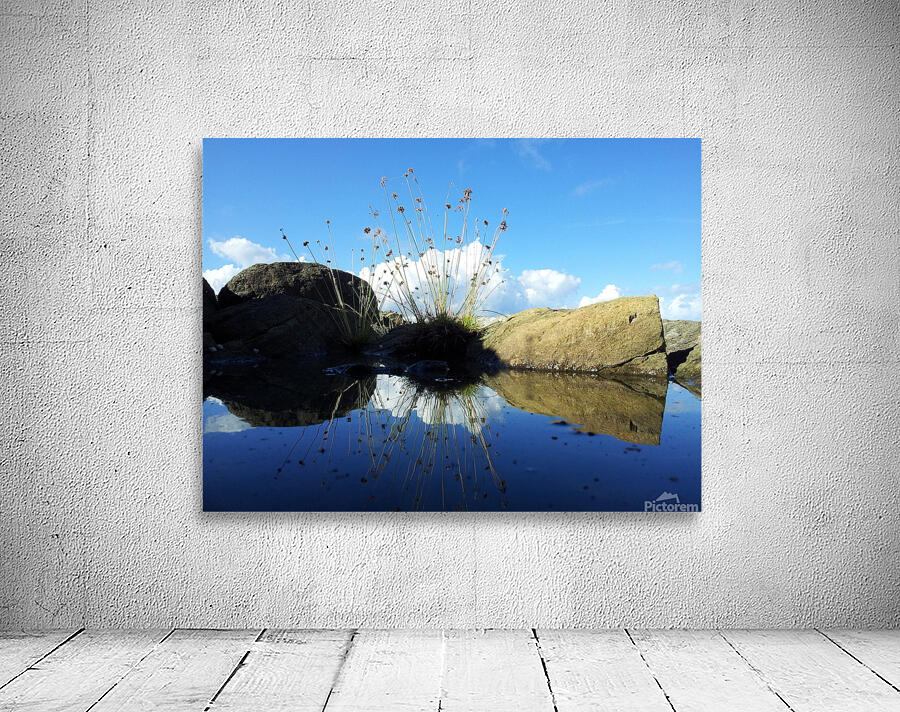Dream puddle Wall Preview