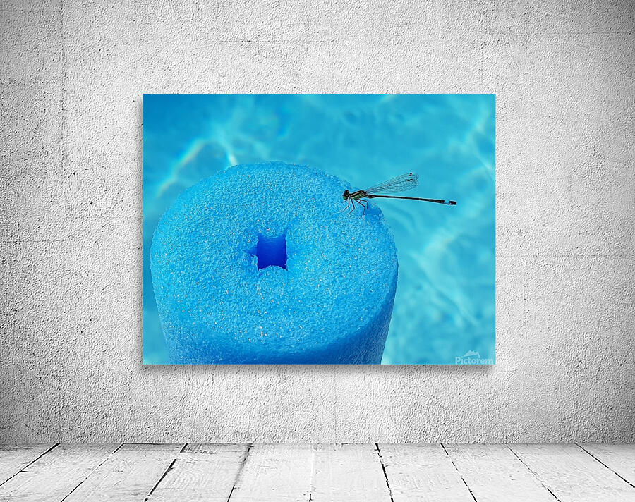 dragonfly at pool Wall Preview