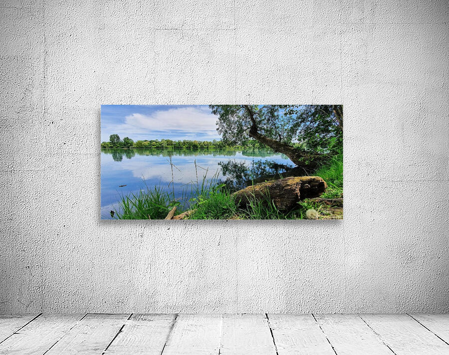 lake in spring Wall Preview