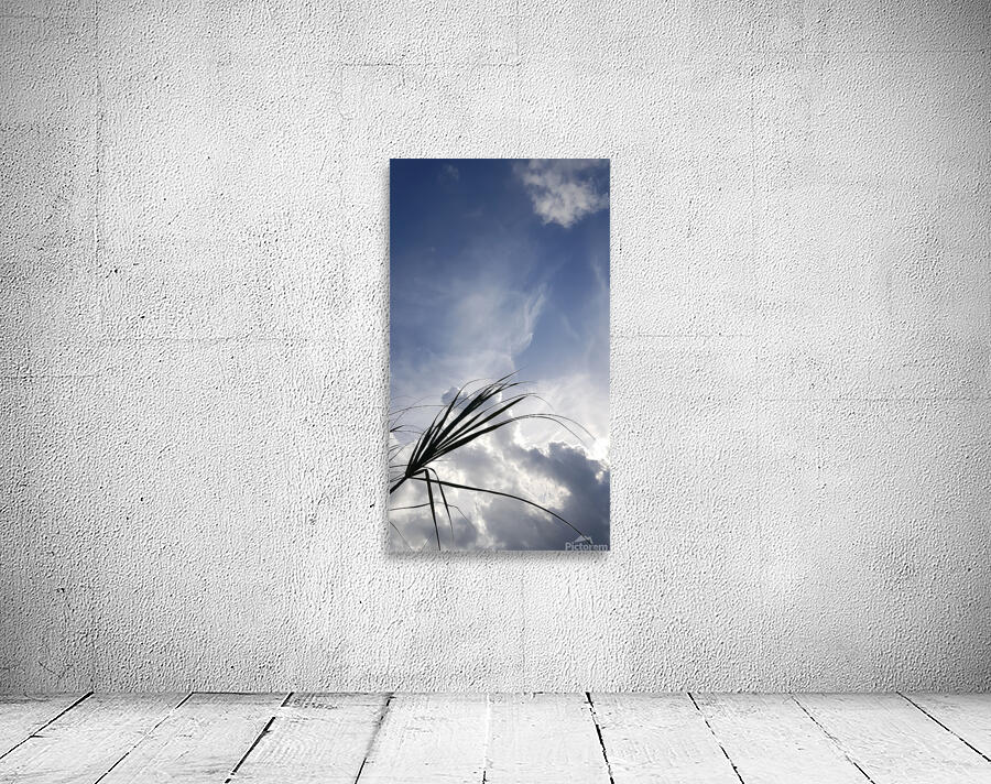 head in the clouds Wall Preview