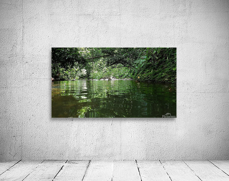 somewhere in the forest Wall Preview