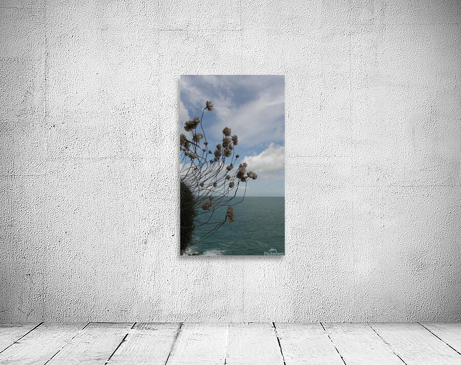 suspended Wall Preview