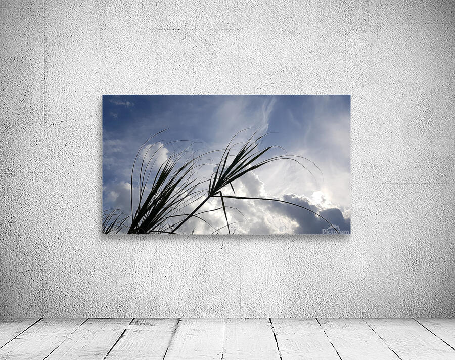 with the wind Wall Preview