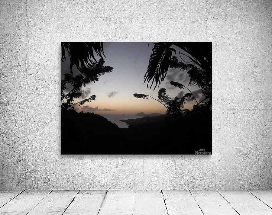 tropical dusk Wall Preview