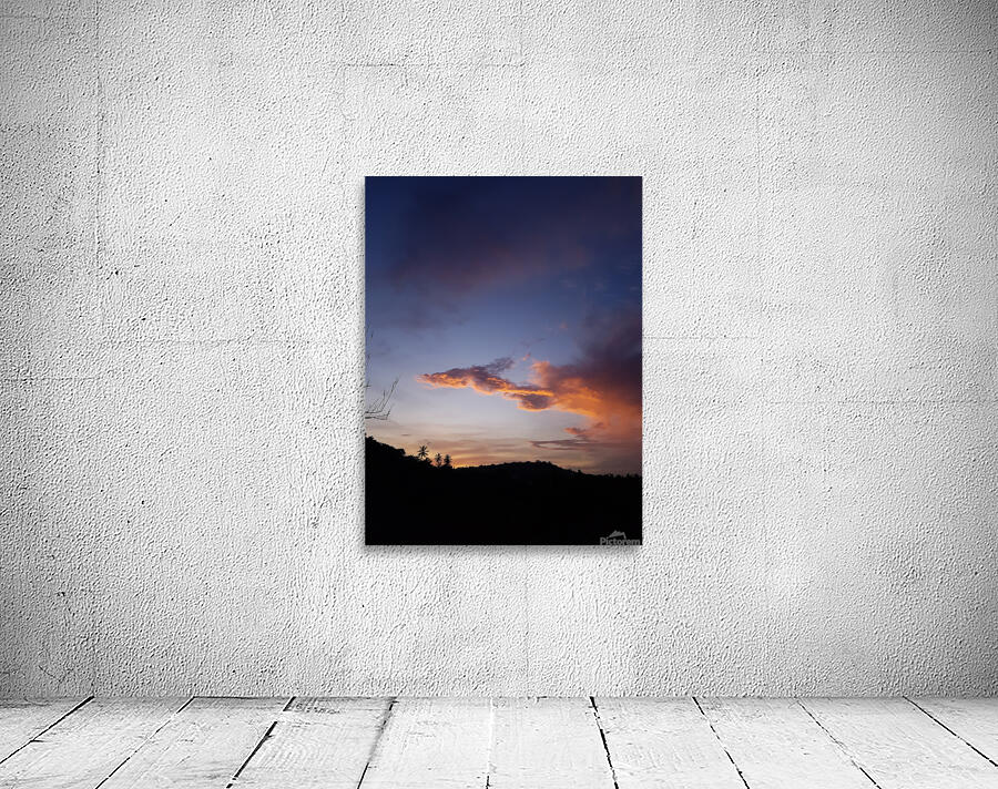 dragon at sunset Wall Preview