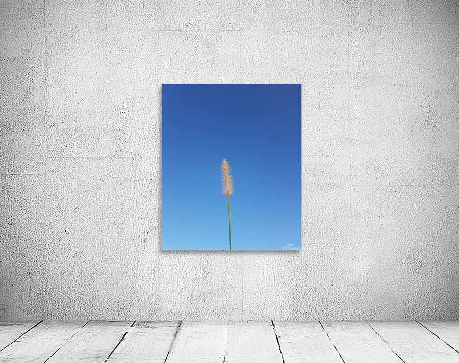 natural flare Wall Preview